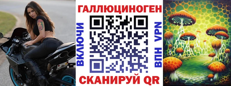 Псилоцибиновые грибы Cubensis  Кириллов 